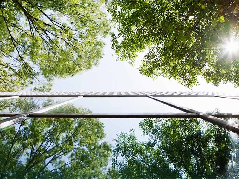 Sustainable building surrounded by trees