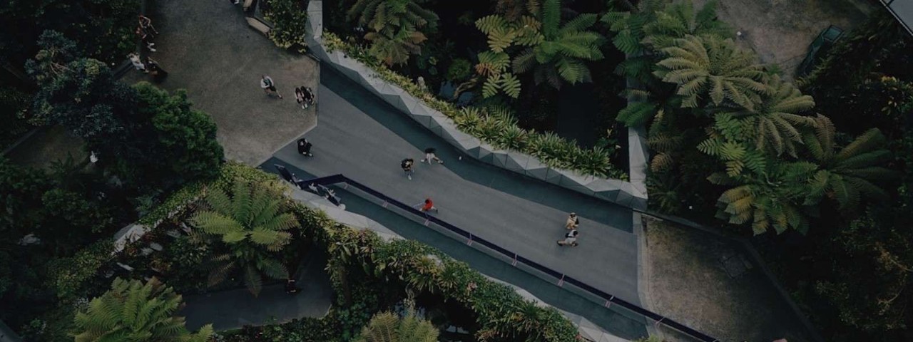 Aerial view of a bridge covered with trees